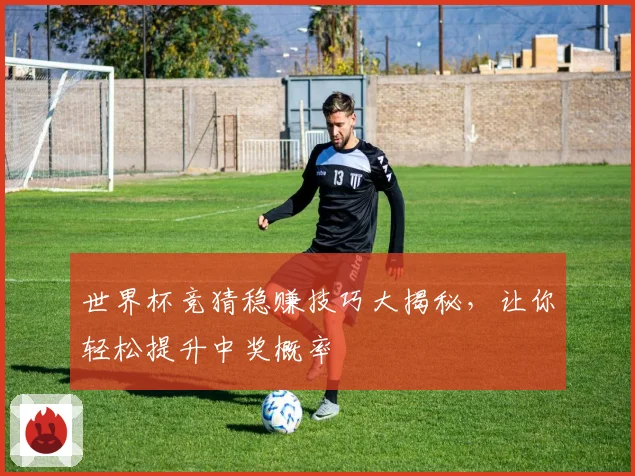 世界杯竞猜稳赚技巧大揭秘,让你轻松提升中奖概率